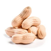 Improves blood circulation for better ear health